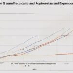 Depreciación acumulada vs. Gasto por depreciación en Finanzas