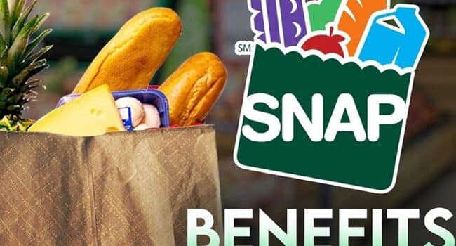 eficiencia en asignacion de beneficios snap por estado