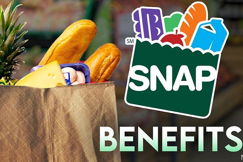 eficiencia en asignacion de beneficios snap por estado