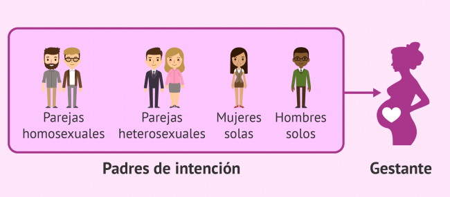 el coste de la maternidad subrogada y las familias