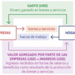 Explicación de la función de consumo: repercusiones en la economía y las finanzas