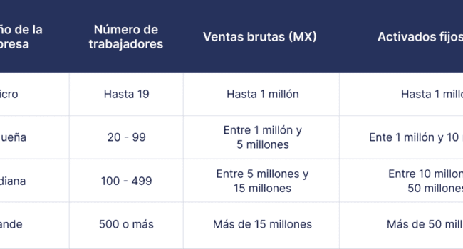 explorar las empresas tipos tamanos e impacto economico