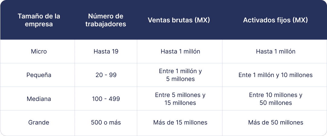 explorar las empresas tipos tamanos e impacto economico