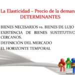 Factores determinantes de la elasticidad de la demanda de bienes de lujo