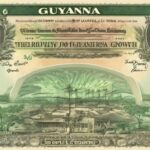 ¿Cómo afecta el dólar guyanés a la economía de Guyana?