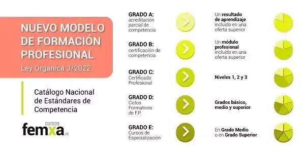 importancia de los certificados de acciones