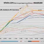 ¿Qué impacto económico tiene STOLI en el seguro de vida?